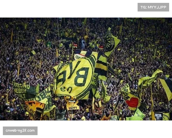 多特蒙德主场西格纳伊度纳公园球场升级计划公布，增加座位容量